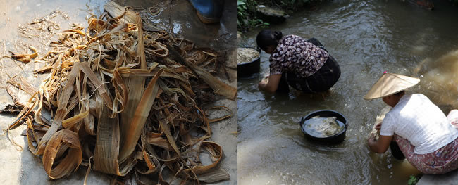 wash mulberry tree bark strips for puer packaging