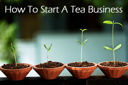 startup tea plant growing edited